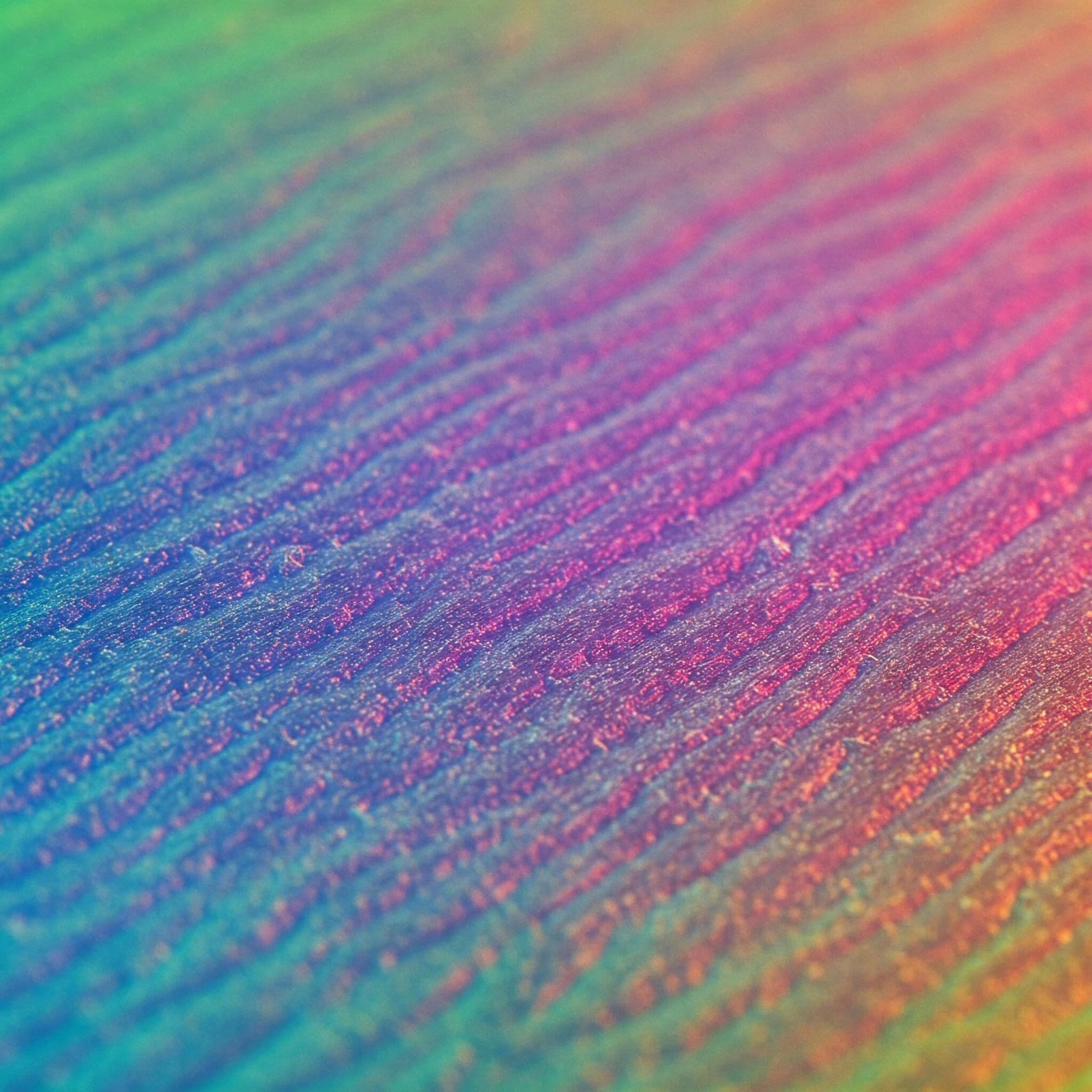 Graphene color membrane -： UniTran™ - ColorPhene® series